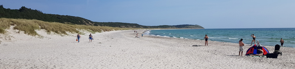 header12.jpg
