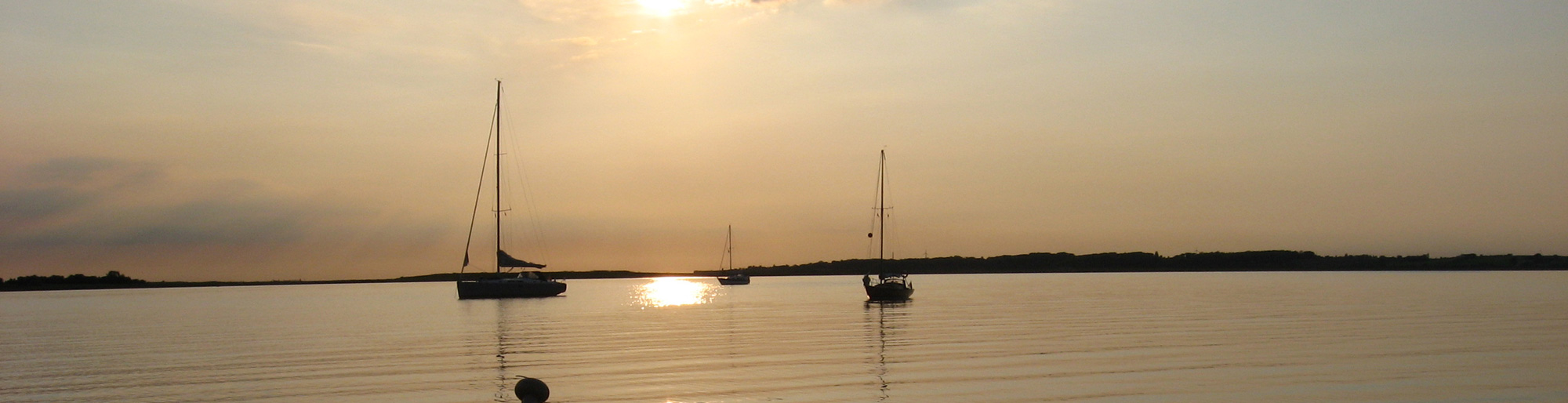 header3.jpg