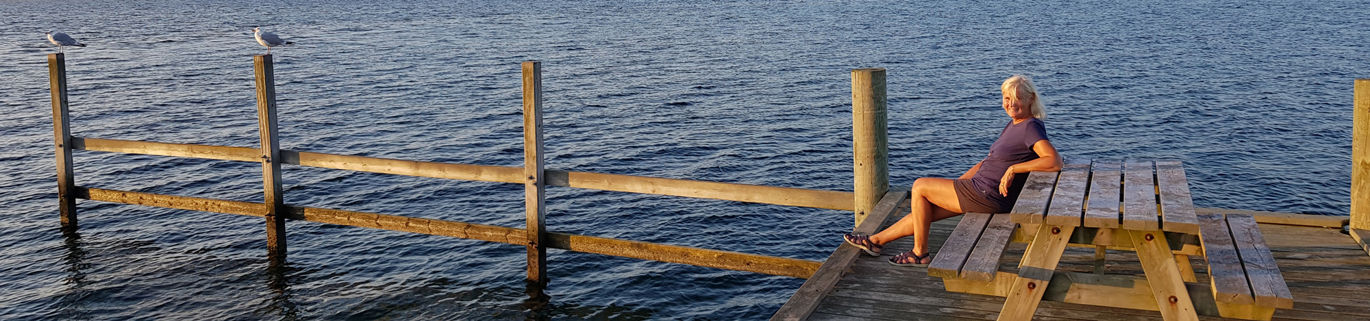 header7.jpg