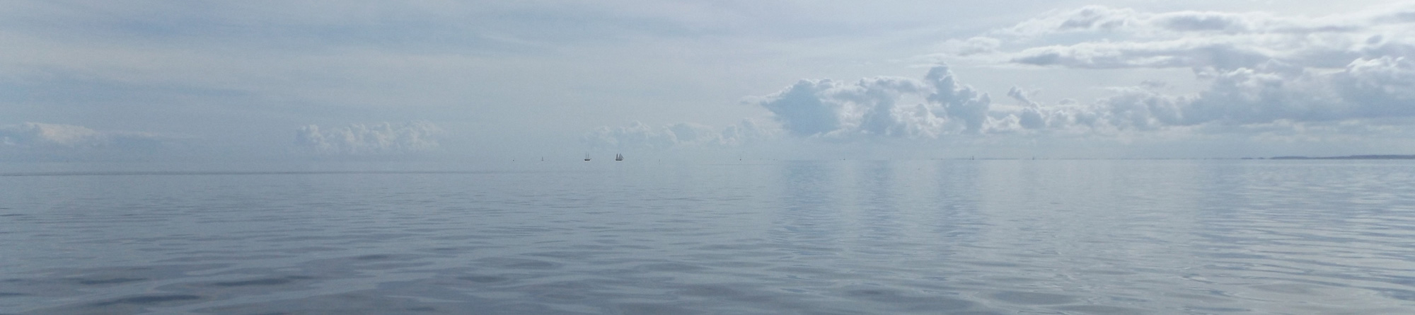 header8.jpg